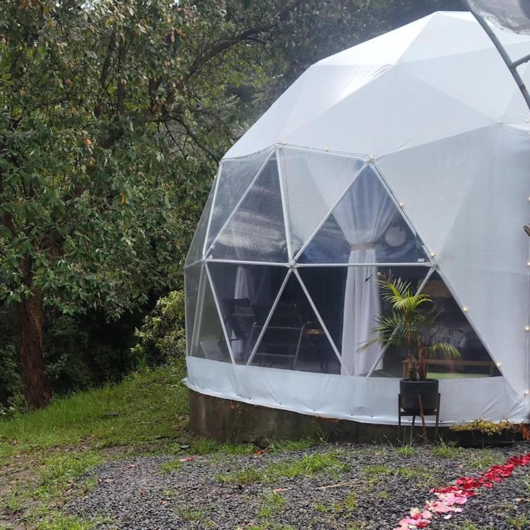 Glamping sin salir de la CDMX - Habitación con cama extragrande y vistas a la montaña - 8