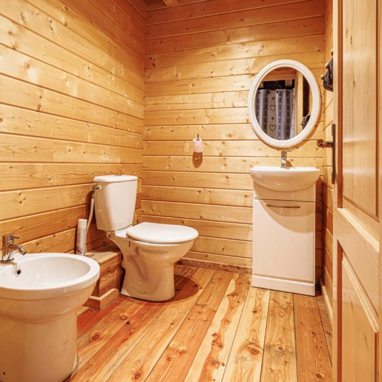 Grand Chalet Allos 12p - Chalet - 30