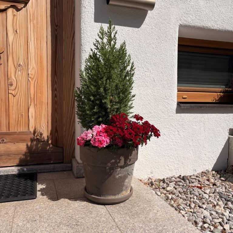 Ferienwohnung - Apartment mit 4 Schlafzimmern und einem Balkon - 22