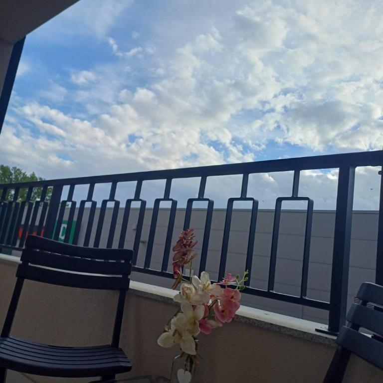Studio apartman Vanja - Apartman sa 1 Spavaćom Sobom - 19