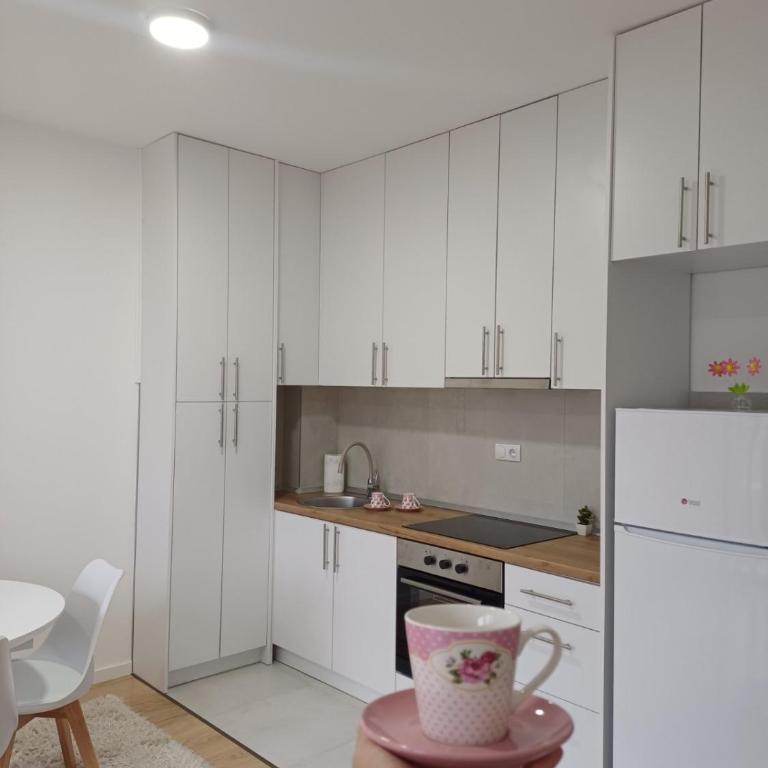 Studio apartman Vanja - Apartman sa 1 Spavaćom Sobom - 9