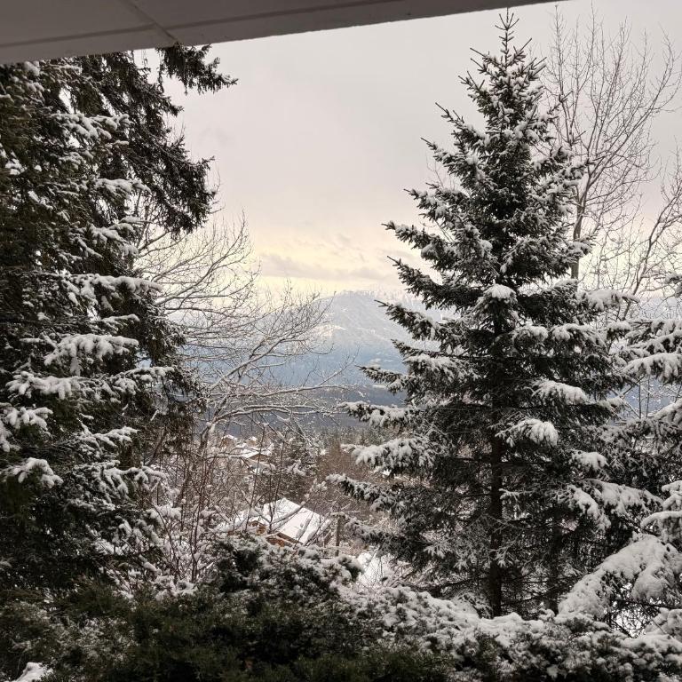 Chalet L'Arzette à Anzère à 2 pas du centre avec magnifique vue sur les montagnes - Chalet mit 3 Schlafzimmern - 16