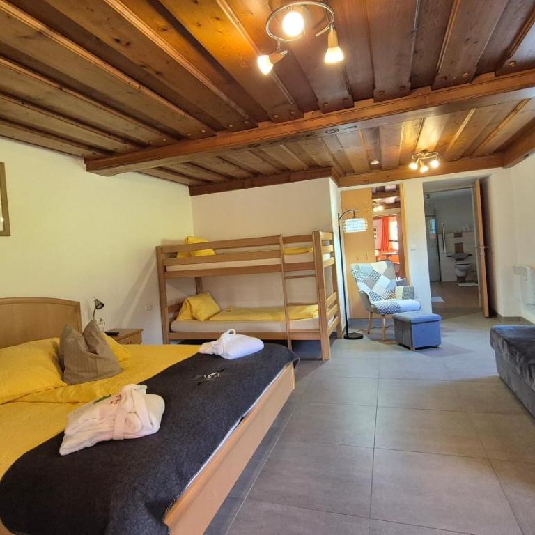 Der Perweinhof - Appartamento con Terrazza - 1