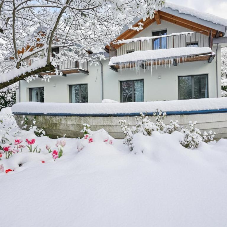 I LAGHEE casette BREVA e TIVANO Lakeside Garden Bike&Boat&Scooter Lake Como - Townhouse - 34