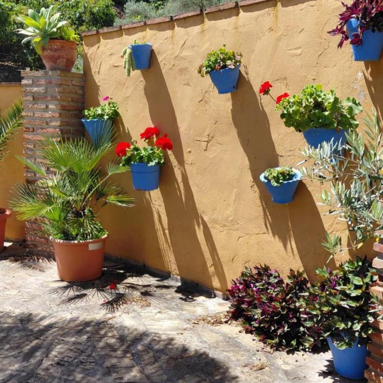 Finca El Valle - Private Pool - BBQ - Relax - Maison 3 Chambres - 17