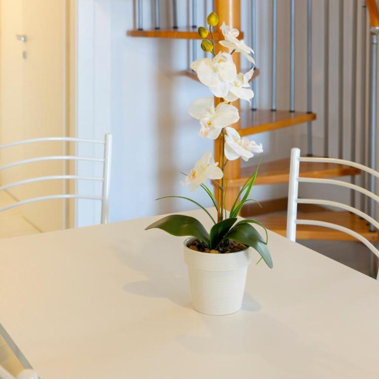 Residence Chiaro di Luna - Appartamento - 24
