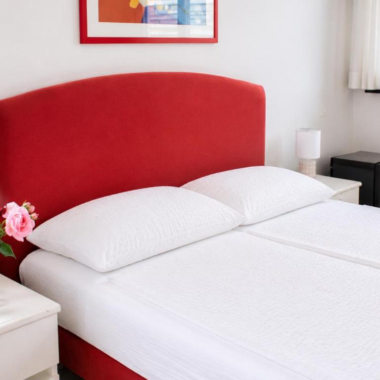 Hotel Nessi Locarno - Camera Matrimoniale Budget Lato Nord - 8