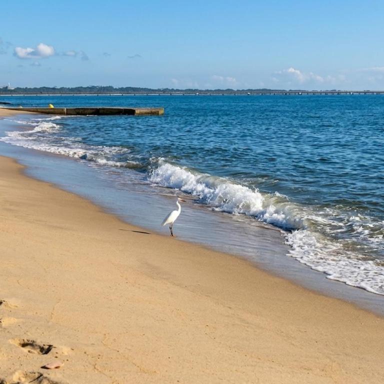 Sunset Horizon Apt-Ocean View-Pool-Wi-Fi-Beach - Apartamento de 2 dormitorios - 19