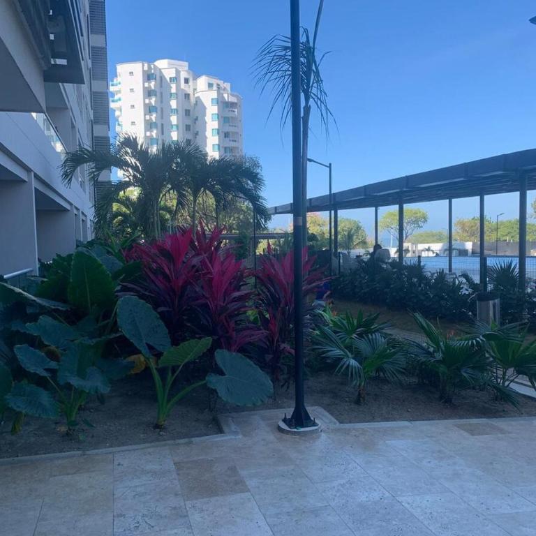 Sunset Horizon Apt-Ocean View-Pool-Wi-Fi-Beach - Apartamento de 2 dormitorios - 29