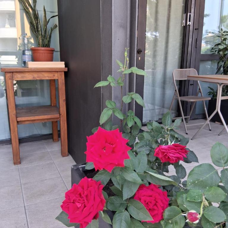 Rose del Lago - Suite con Vista Lago - 19