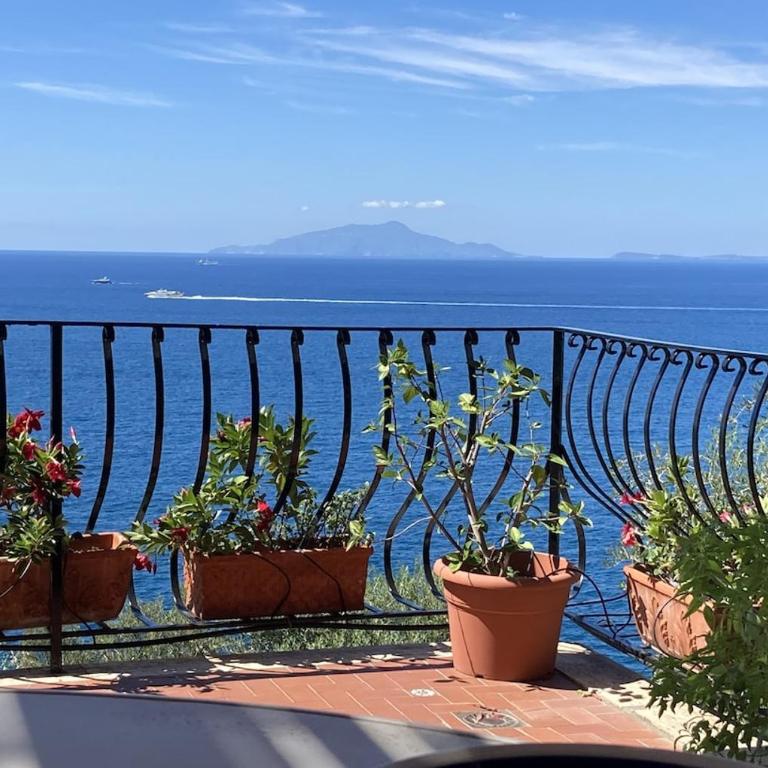 Villa Viviana - Appartamento Standard con 3 Camere da Letto - 6