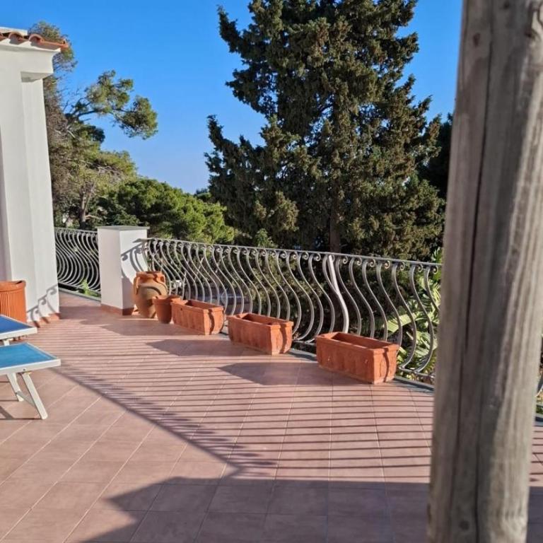 spettacolare suite Tragara Capri - Appartamento con 1 Camera da Letto - 18