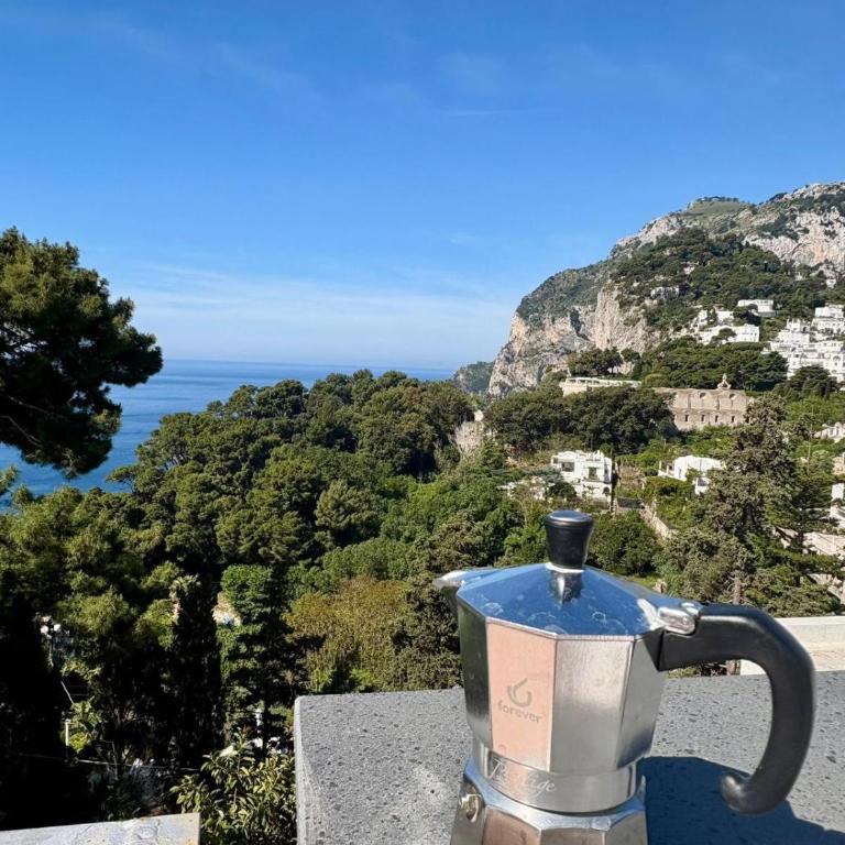 spettacolare suite Tragara Capri - Appartamento con 1 Camera da Letto - 8