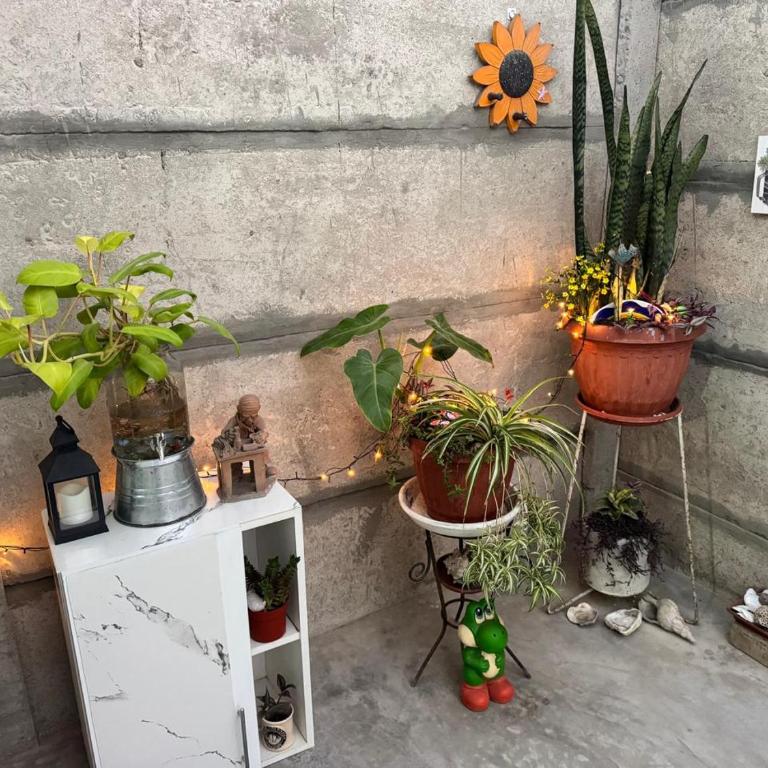 Alojamiento en Chilca - Casa de 2 dormitorios - 22