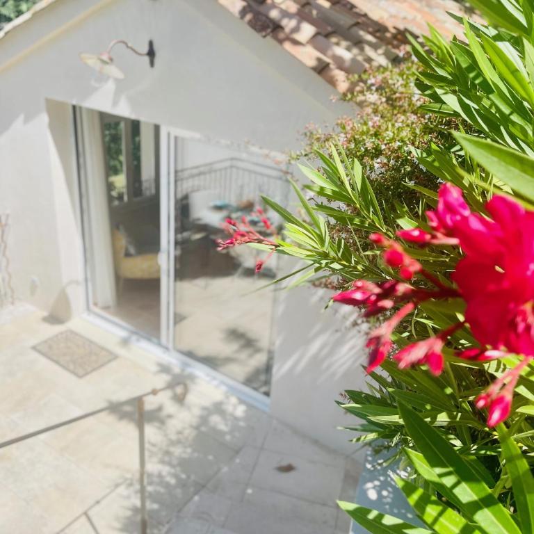 Exclusif Appart piscine chauffée de luxe 10 min centre AixenPc Belvoir SISSI - Appartamento - Piano Terra - 5