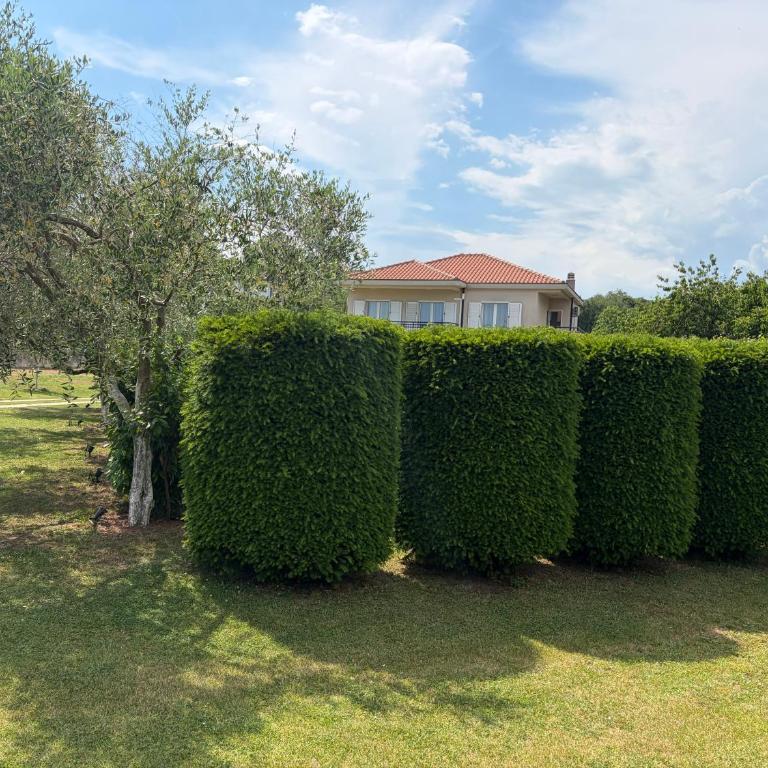Vila CarpeDiem - Villa - 9