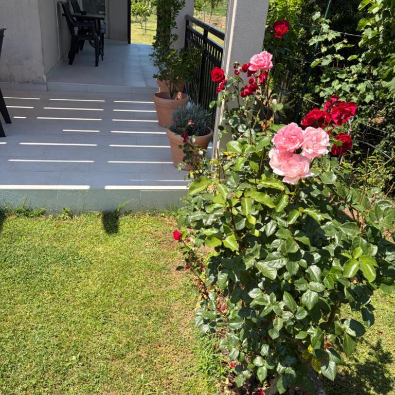 Vila CarpeDiem - Villa - 14