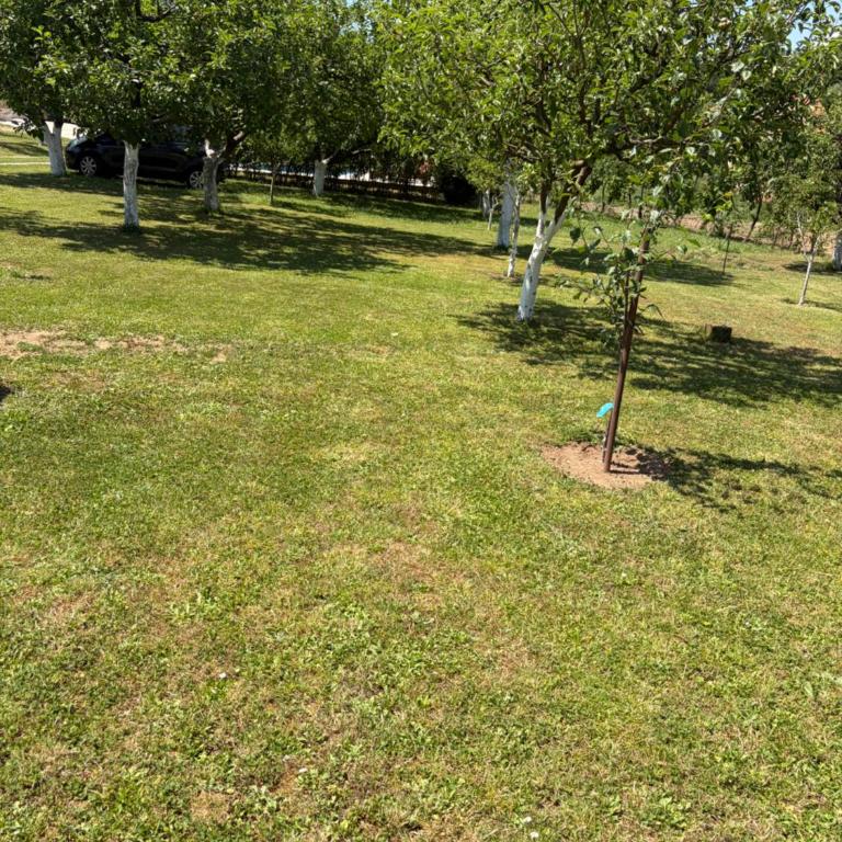 Vila CarpeDiem - Villa - 21