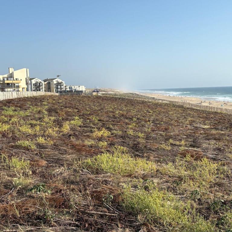 Lacanau-Océan Triplex Front de mer - Apartamento de 2 dormitorios - 19