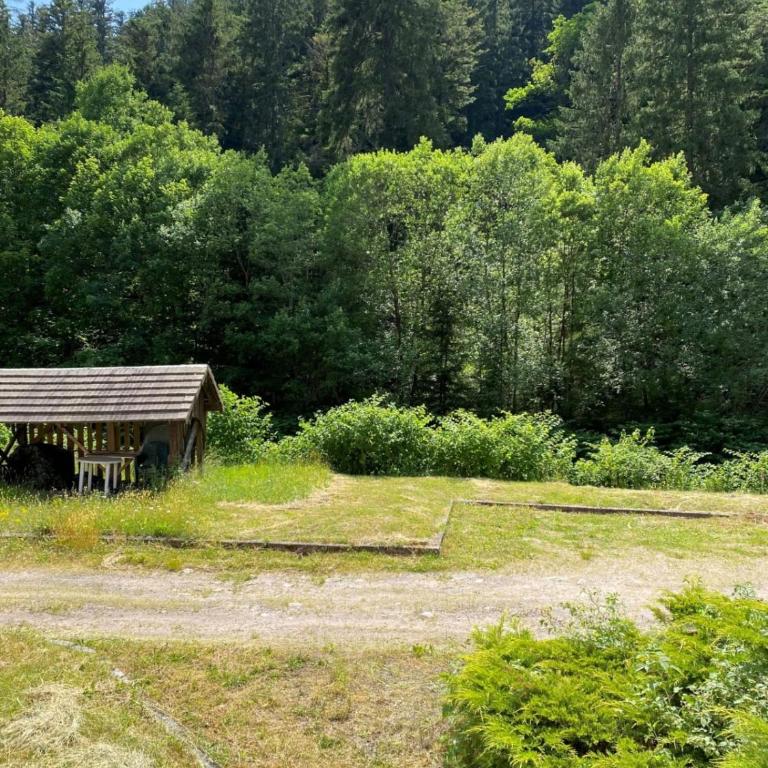 Charming 55m near hiking trails - Appartement - 6