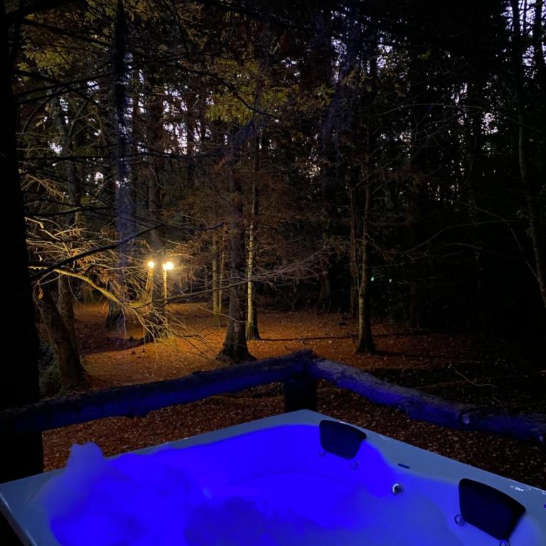 Cabaña con jacuzzi privado - Apartamento de 1 dormitorio con bañera de hidromasaje - 4