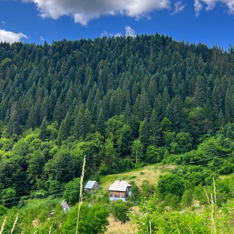 Zabljak Sljivansko - One-Bedroom House - 11
