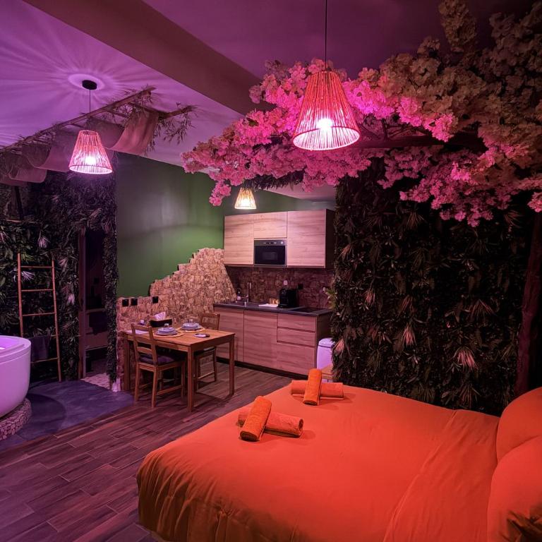 JUNGLE SUITE - Jacuzzi - Centre - Clim by Narbana - Appartement 1 Chambre - 8
