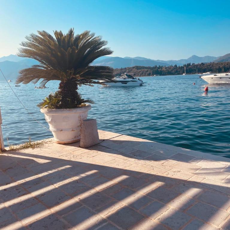 Lavander Apartment W Pool and Private Beach - Apartman sa 1 Spavaćom Sobom - 23