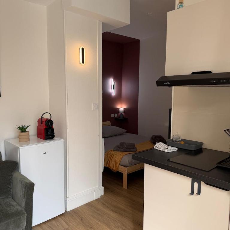 T2 Lumineux - Hypercentre - parking privé - Appartement 1 Chambre - 2