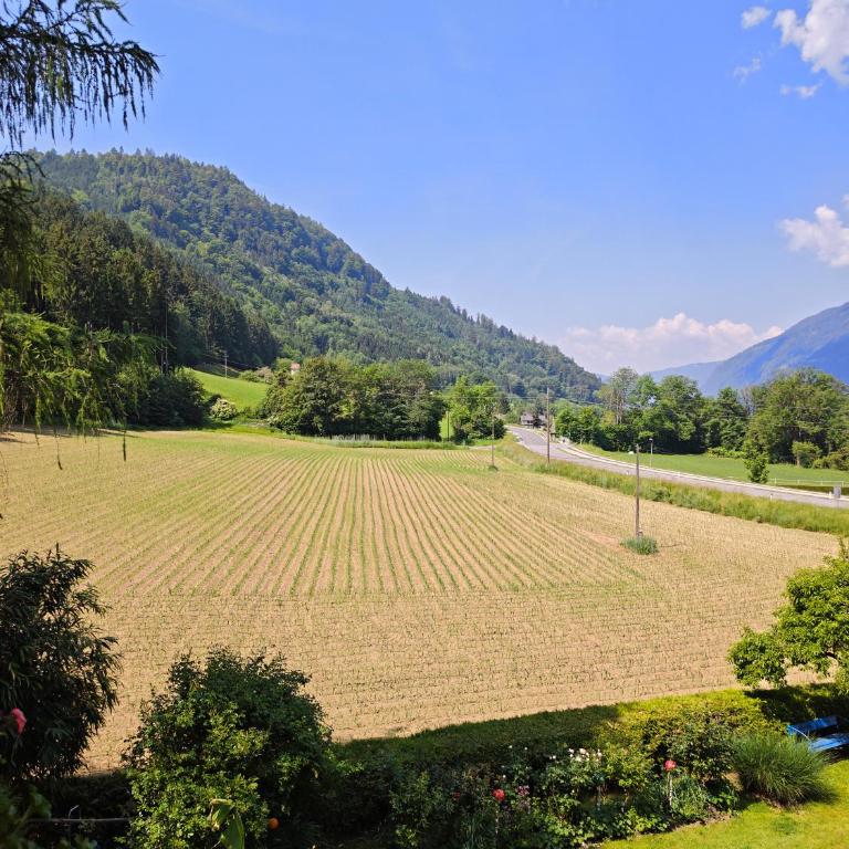 Blumenpension Strauss - Ferienwohnungen - Studio mit Balkon - 4
