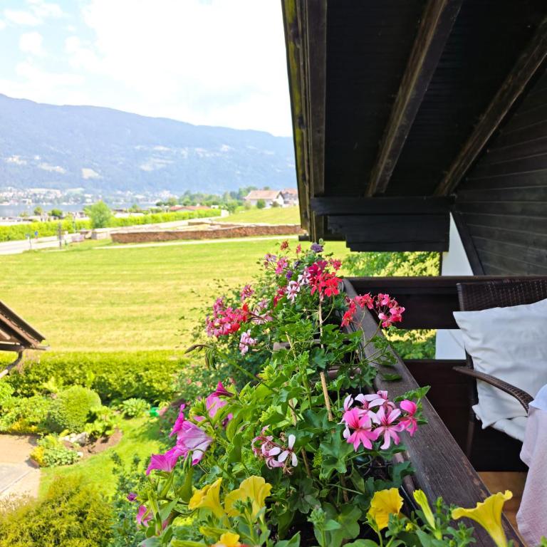 Blumenpension Strauss - Ferienwohnungen - Studio mit Balkon - 8