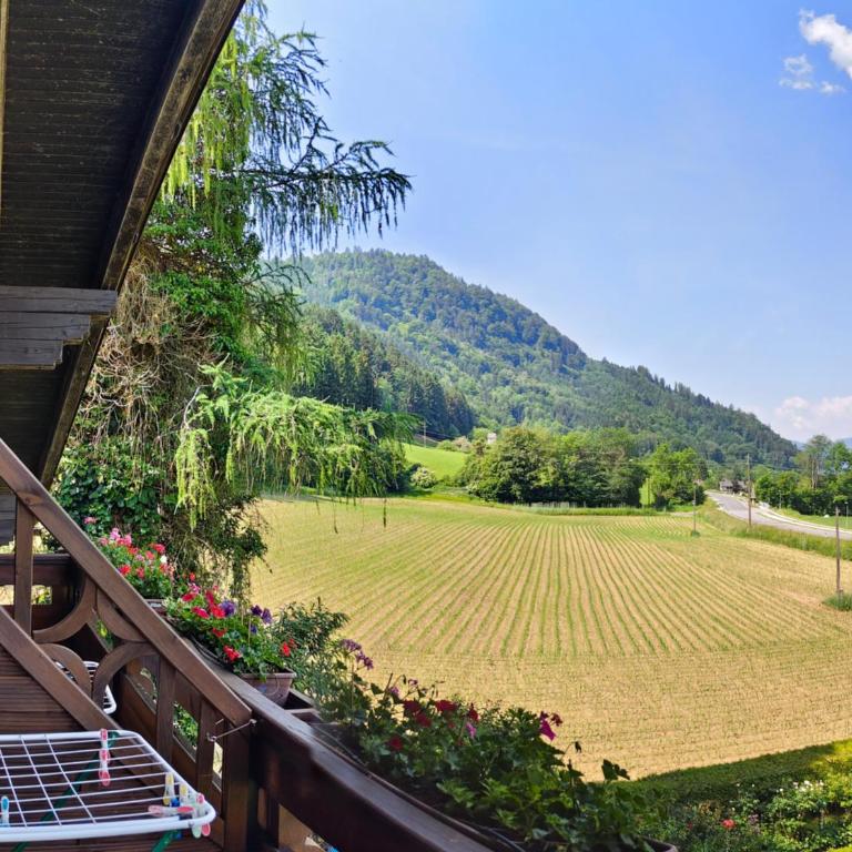 Blumenpension Strauss - Ferienwohnungen - Studio mit Balkon - 11