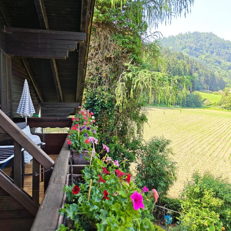 Blumenpension Strauss - Ferienwohnungen - Studio mit Balkon - 8