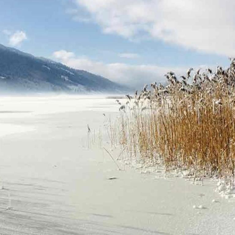 Alpsee Bergblick Apartment - Modern&Komfortabel - 5Min zum See - Apartment mit 1 Schlafzimmer - 14