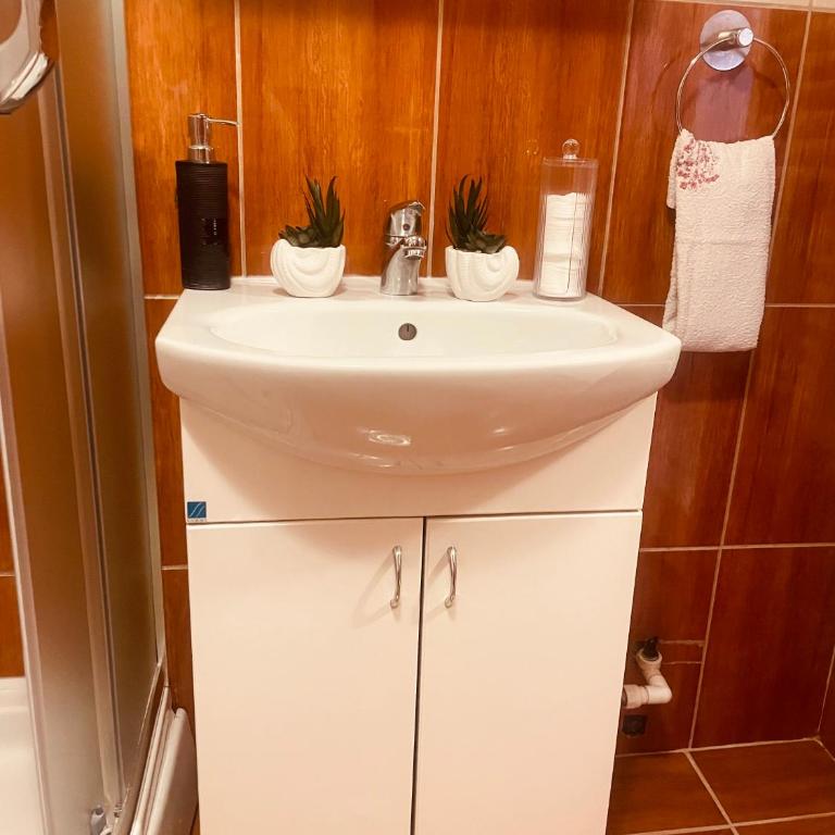 Apartman Simović, Vrnjačka Banja - Apartment mit 1 Schlafzimmer - 48