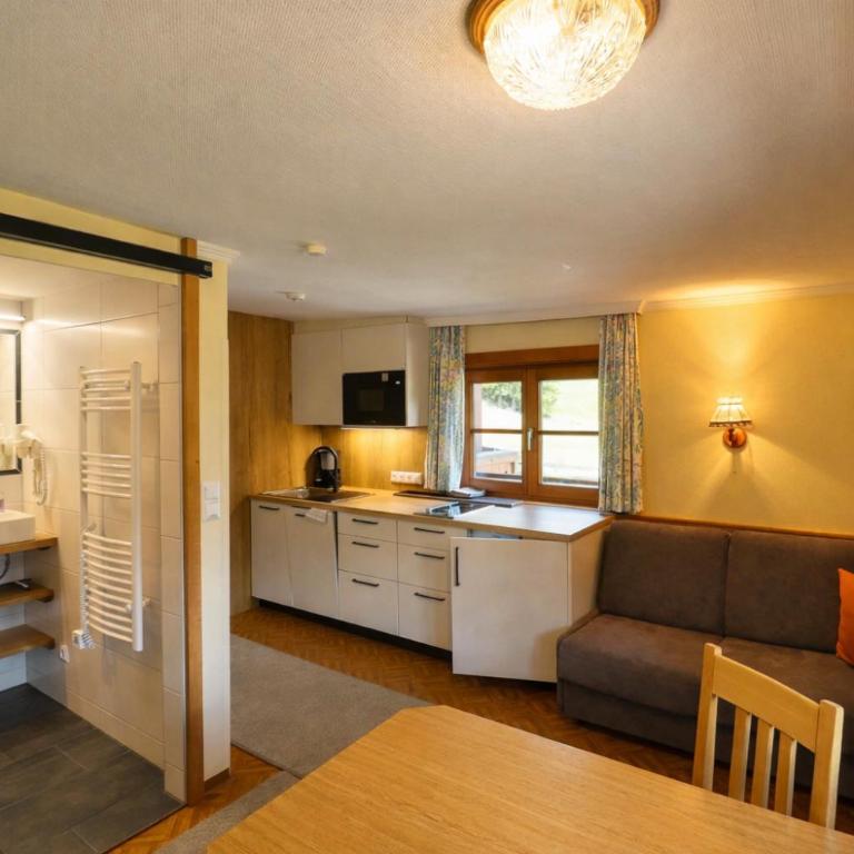 Blashof seit 1693 - Apartments Schladming - Apartment - 1