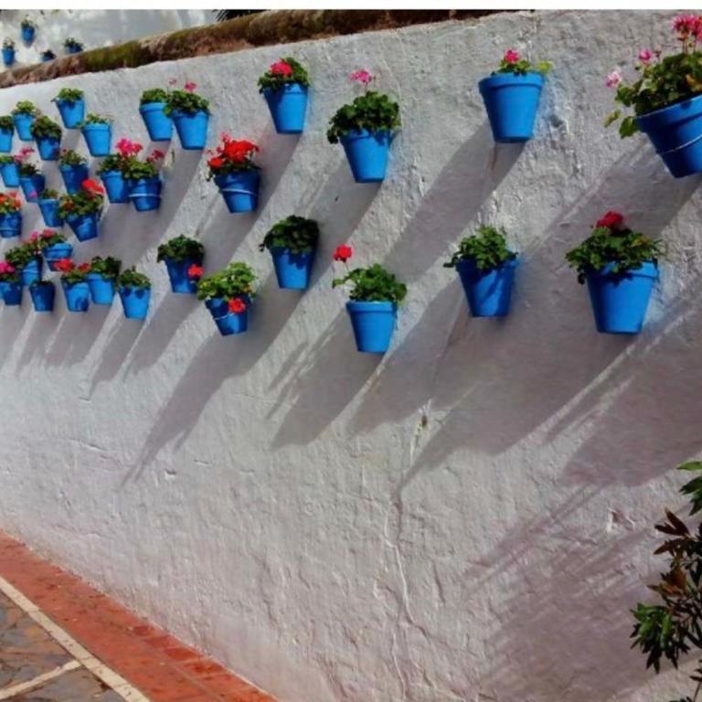 APARTAMENTO LUJO MARBELLA Centro - Deluxe Apartment - 22