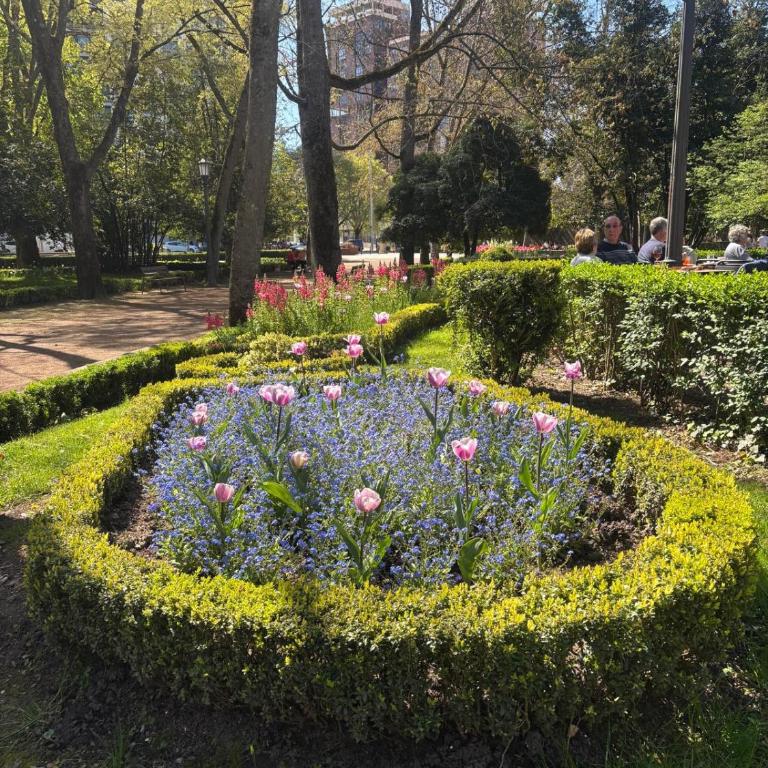 maitagarri casco antiguo - Apartment with Garden View - 6