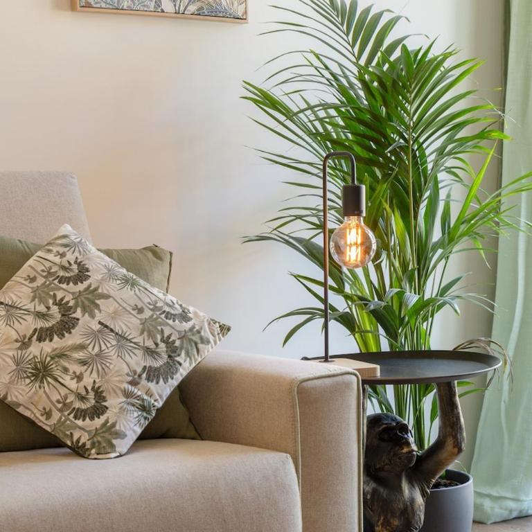 Private Balcony Fast Fribra Jungle Apartment - Appartamento con 2 Camere da Letto - 19