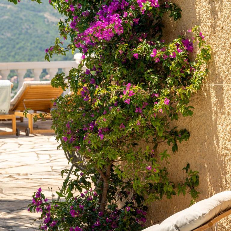 Panorama Azur - Villa - Vue sur Mer - 12