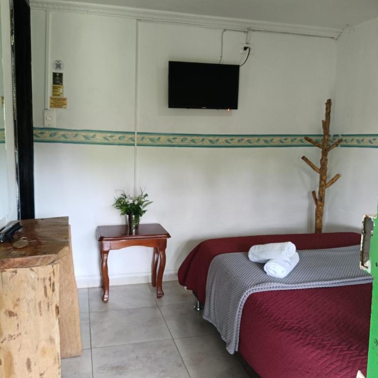 Hostal y Camping Los Girasoles - Habitación Doble con baño privado con TV - 5