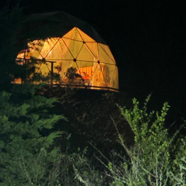 Glamping Cacica del bosque - Tienda - 7