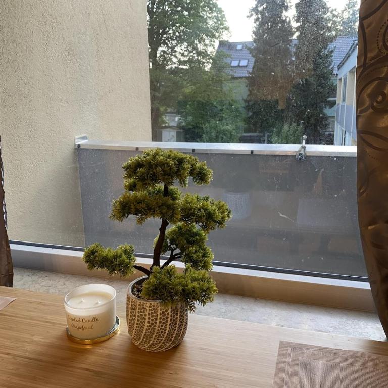 Quiet, cozy apartment near the center - Apartamento de 1 dormitorio - 3