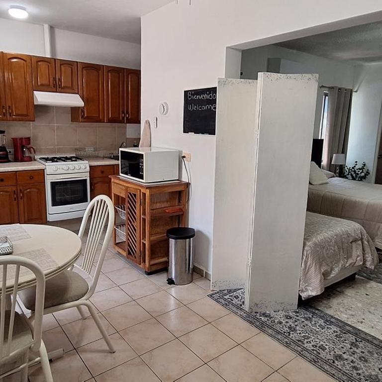 Departamento en San Pedro Garza Garcia - Apartamento de 1 dormitorio - 1