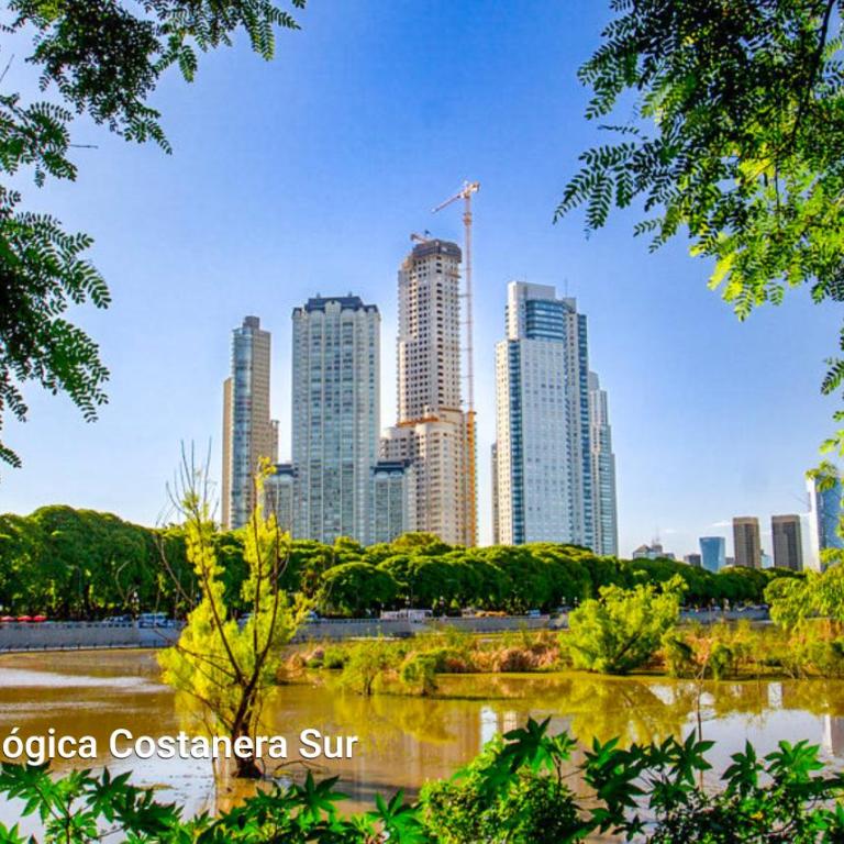 Family Apartment with Puente de la Mujer View in Puerto Madero - Apartamento de 2 dormitorios - 42