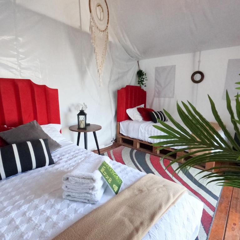 Mystic Paracas Hotel & Glamping - Tienda - 5