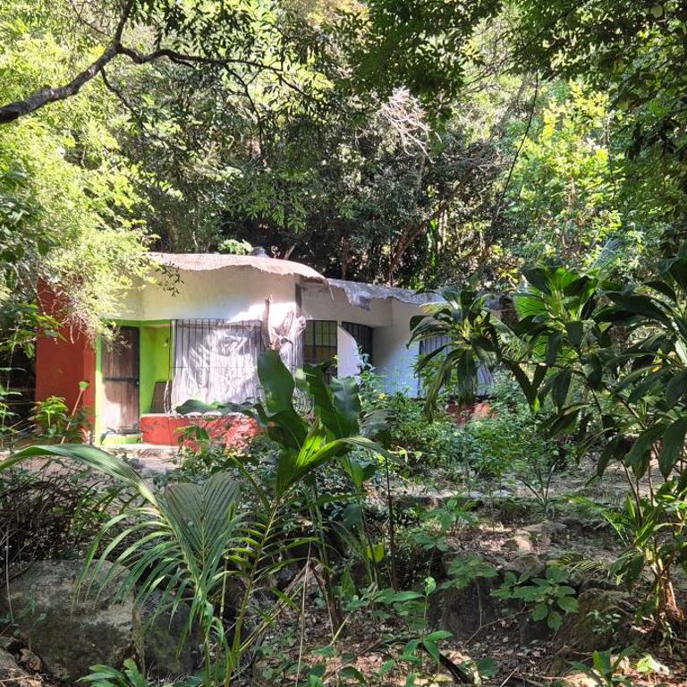 Cabaña Río & Naturaleza - Apartamento de 1 dormitorio - 1