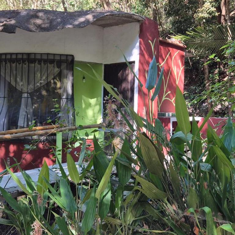 Cabaña Río & Naturaleza - Apartamento de 1 dormitorio - 4