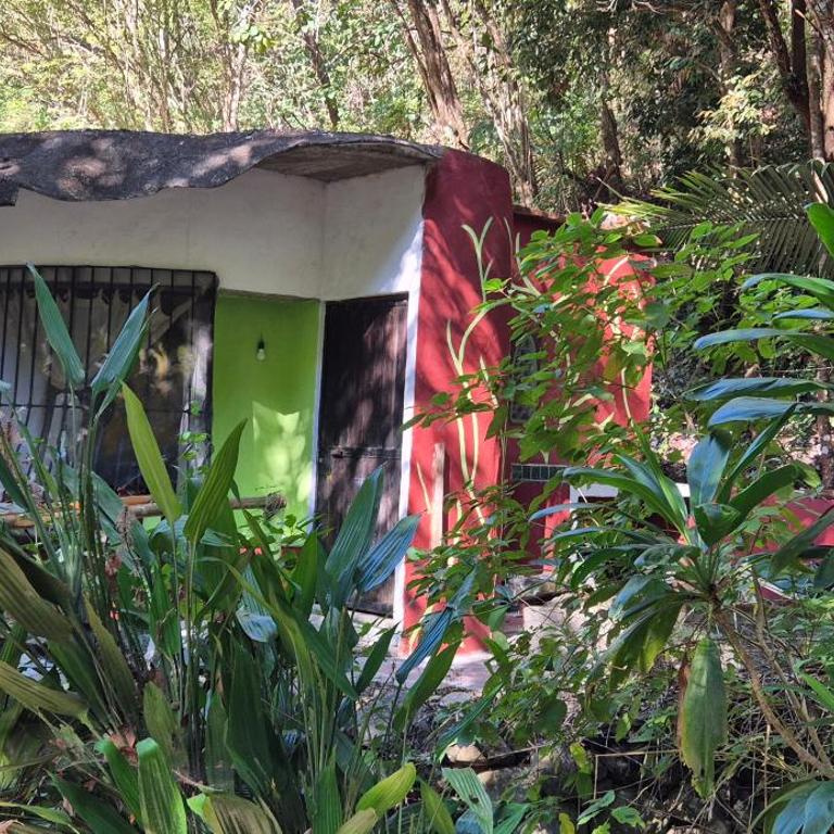 Cabaña Río & Naturaleza - Apartamento de 1 dormitorio - 5