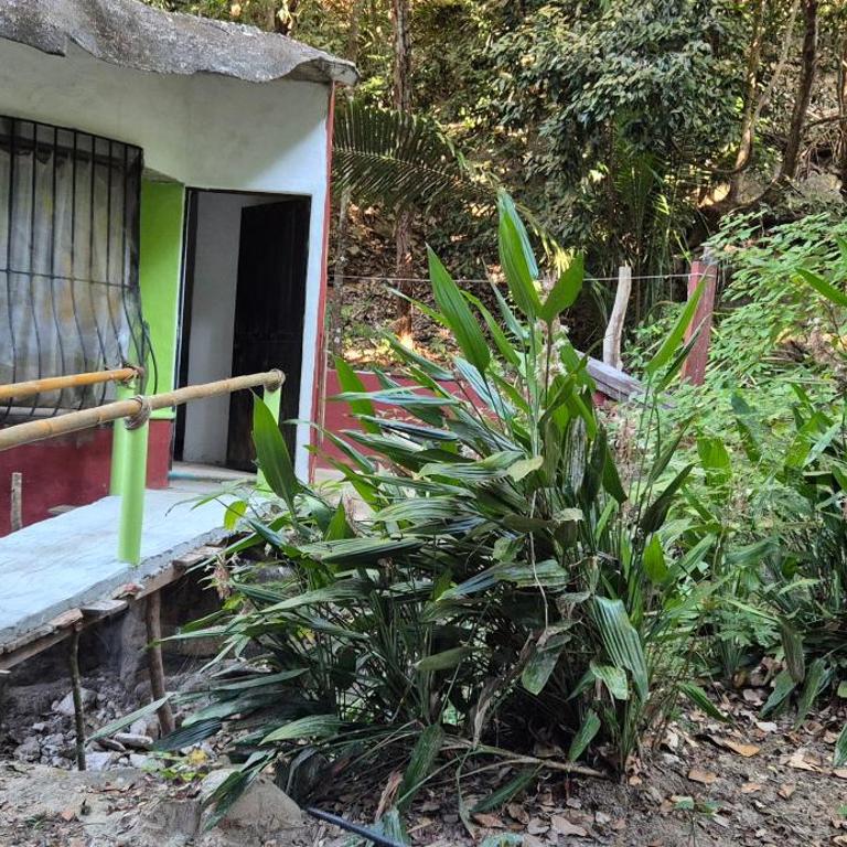 Cabaña Río & Naturaleza - Apartamento de 1 dormitorio - 14